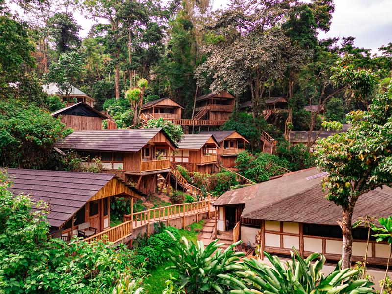 Bwindi Forest