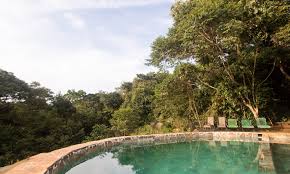 Nkima Forest Lodge